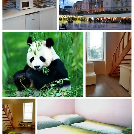 Apartament Panda