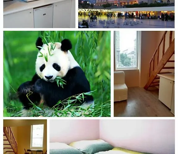 Апартаменты Panda